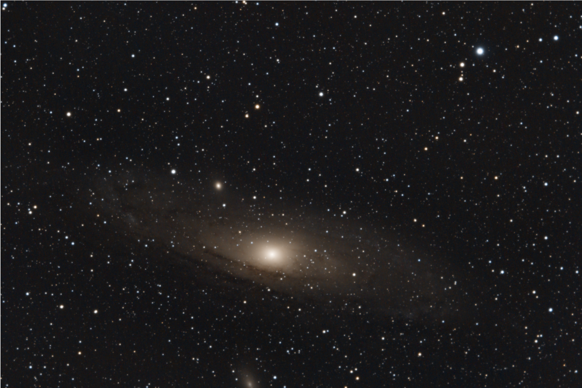 M31