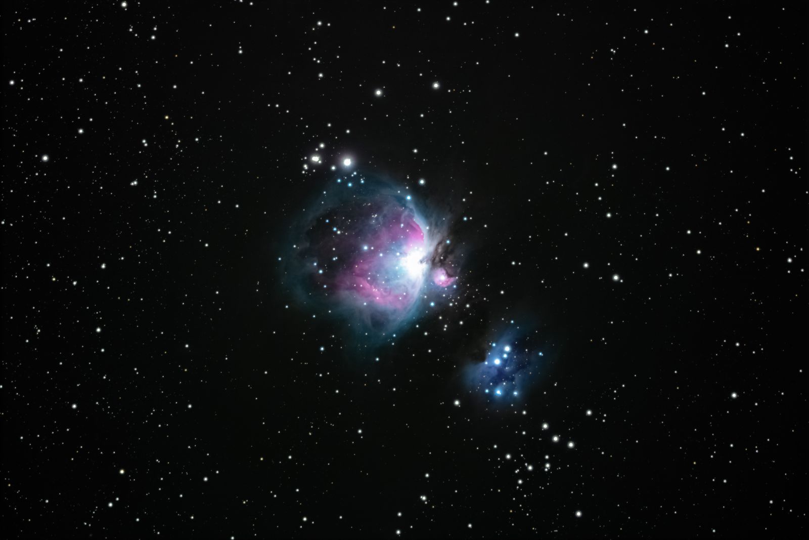 Orion Nebula (M42)