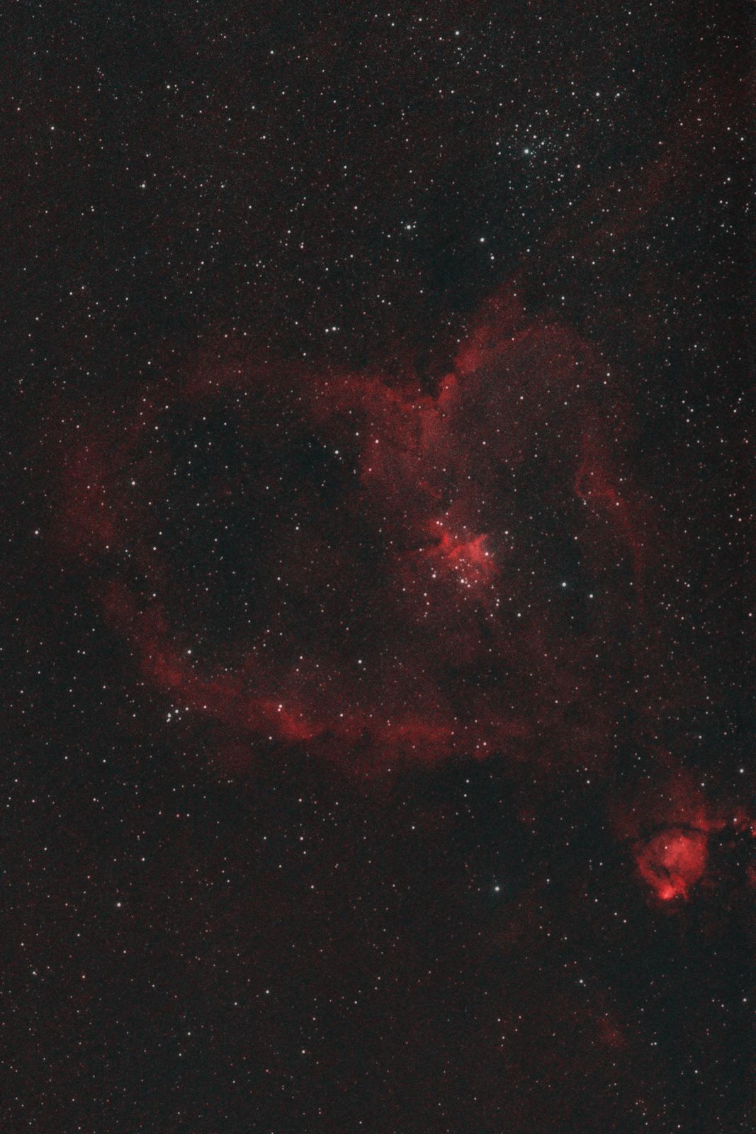 Heart Nebula - IC 1805