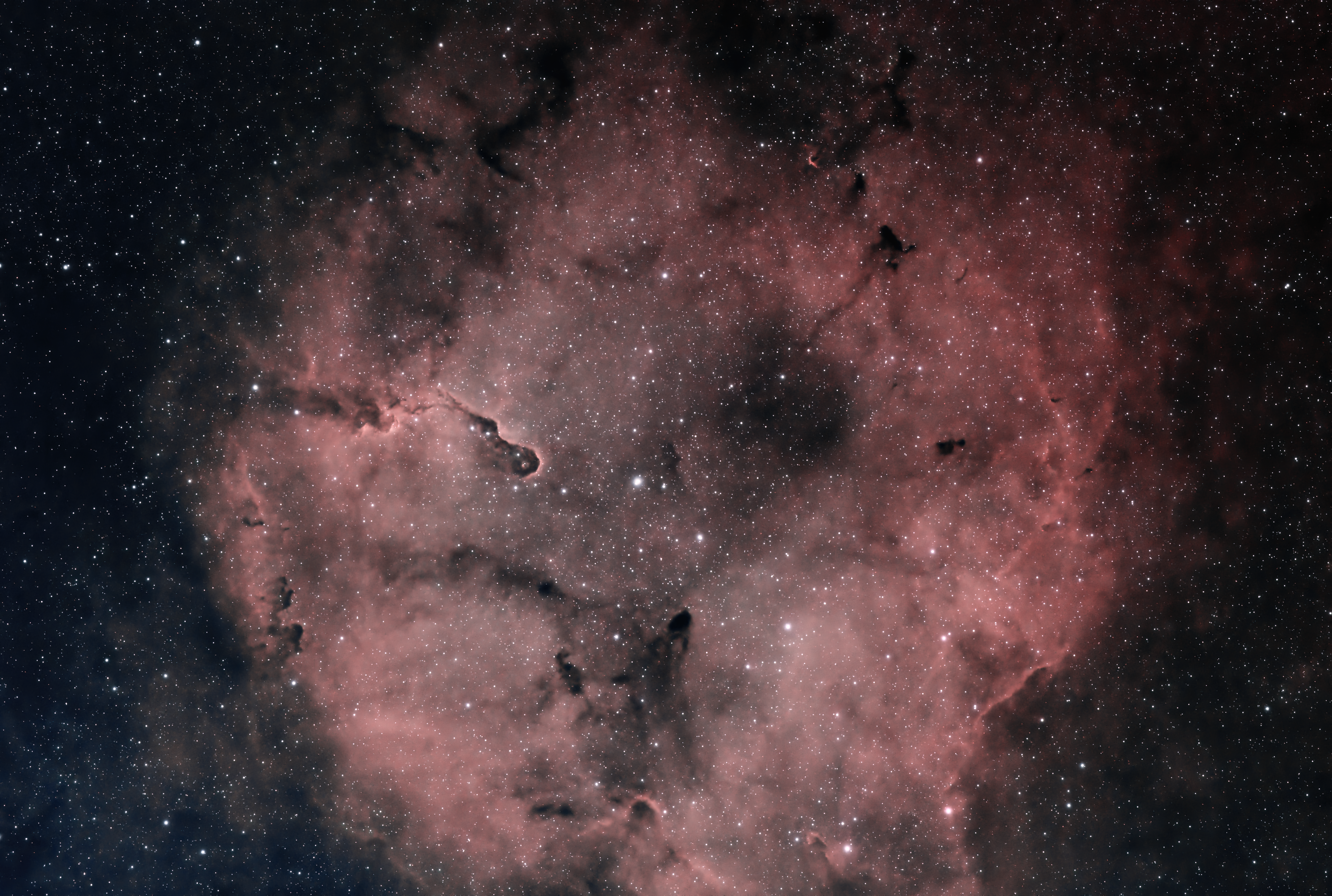 Elephant Trunk Nebula - IC1396
